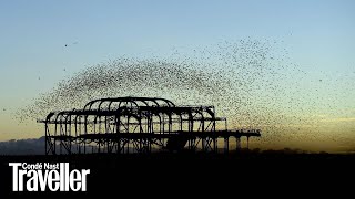 Starling murmuration in Brighton  Condé Nast Traveller [upl. by Htebizile467]