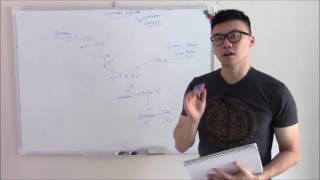 USMLE Hematology and Oncology 17 Coagulation Cascade and Pathway [upl. by Akalam]