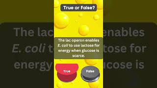 Biology Definition Challenge  Lac operon 2 [upl. by Ailedo]