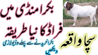 Must Watch This Video Before Buying A Cattle For EidulAdha In UrduHindi [upl. by Belicia]