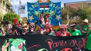 El Son de Los Paños Rojos Carnaval Charo 2019 [upl. by Leann]