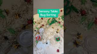 Explore our sensory table setup featuring a bug sorting activity Children dive into a sandy [upl. by Kristof]