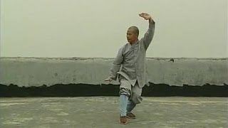 Shaolin Kung Fu Combat Styles 9 small penetratingarms form 通臂拳 tong bi quan [upl. by Sitnerp]