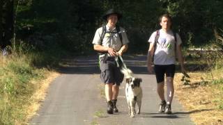 Rangertouren im Nationalpark HunsrückHochwald Programm im Sommer 2016 [upl. by Lesli]