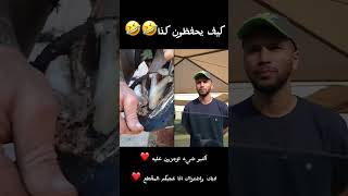 ذاكره فوتوغرافيه 🤣🤣 [upl. by Little541]