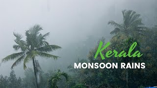 Why Kerala for Monsoon  Best Monsoon video [upl. by Ingalls]