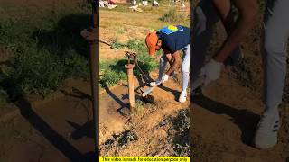 Tube well cemetery is clean 😱❔shorts facts [upl. by Longawa]