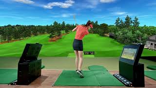 Bravo Golf Simulator [upl. by Inafit932]