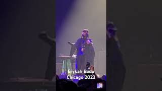 Chicago  Erykah Badu 2023 Unfollow Me Tour  Live [upl. by Icats552]