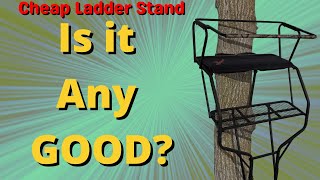 Affordable 2 person Ladder Stand for Hunting [upl. by Haduj]