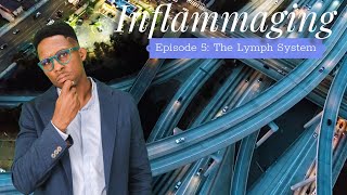 Inflammaging  Episode 5 The Lymph System [upl. by Anattar981]