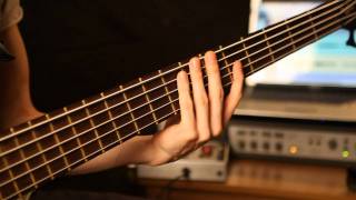 TESSERACT  quotAprilquot Bass Video [upl. by Ahsiuqat973]