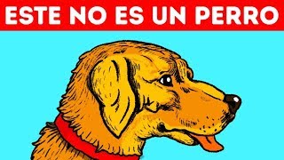 11 Ilusiones ópticas que engañarán a tus ojos [upl. by Aneel44]