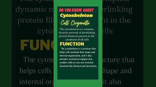 Cytoskeleton education science biology sirwahab sciencefacts cell [upl. by Eniamaj132]