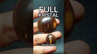 Full kristal serat kayu kelor fosilkelor bali shortvideo gemstone galihkelor alami asli [upl. by Smukler]