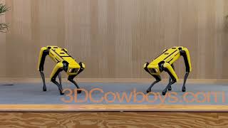 Dancing Boston Dynamics Robot Dogs  3DCowboyscom [upl. by Daph]