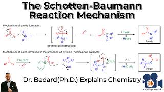 The Schotten Baumann Reaction Mechanism [upl. by Ronald417]