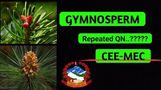 Gymnosperm  frequently repeated Questions  MOST IMPORTANT  CEEMEC [upl. by Clio]