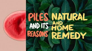 Piles Treatment at Home  Natural Remedies and Prevention Tips for Hemorrhoids [upl. by Eekaz930]