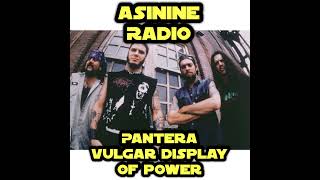 Pantera  Vulgar Display Of Power [upl. by Ritchie]