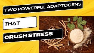 Two Powerful Adaptogens That Can Crush Stress And Fatigue [upl. by Htinnek]