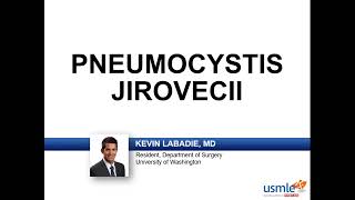 USMLERx Express Video of the Week Pneumocystis Jirovecii [upl. by Samella]