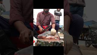 Amazing Great Delicious Pangasius Fish Cutting Techniques  Fillet Fish Slicing [upl. by Astor]