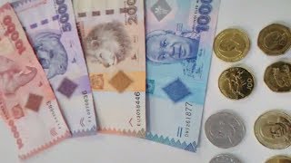 Currency  Tanzania Shillings TZS [upl. by Milda379]