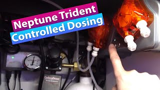 Neptune Apex Trident Controlled Dosing [upl. by Tomasina]