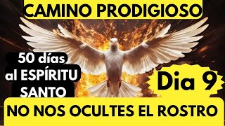 Día 9🔥❤️❤️‍🔥💙CAMINO PRODIGIOSO con el Espíritu SantoNO NOS ocultes tu rostro SEÑOR lunes 8 Abril [upl. by Sible272]