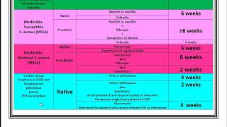 Infective Endocarditis Review and Summary [upl. by Carole]