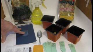 How to Grow Bonsai from Seed [upl. by Veron]