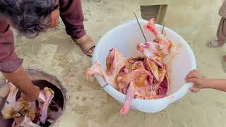 3 Goats Tandoori Mutton Sajji  مٹن سجّی  Azam Ka DastarKhwan RajanPur [upl. by Eahsat]