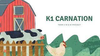 K1 Carnation Term 3 WoW Project [upl. by Charmane]