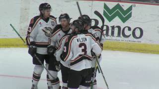 31017 Wheeling Nailers Vs Quad City Mallards [upl. by Esilahs6]