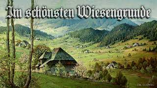 Im schönsten Wiesengrunde German folk songEnglish translation [upl. by Yekcaj356]