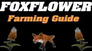 Foxflower Farming 725 Watch for the fox wRank 3 [upl. by Tessler]