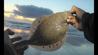 new pb plaice low water cleverlys october 2019 [upl. by Cristy]