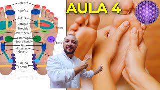 Aula 4  Conheça o Mapa da Reflexologia e a Anatomia dos pés  Curso Gratuito de Reflexologia [upl. by Goldsmith]