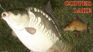 Dinks Carp spot new config Copper Lake Russian Fishing 4 carpfishing carp [upl. by Arbuckle]