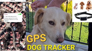 Dog G12 GPS Tracker Smart Pet Locator [upl. by Eednas744]