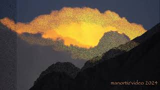 Nuvole al Tramonto Sunset clouds with Johann Sebastian Bach manortiz46az [upl. by Yrag]