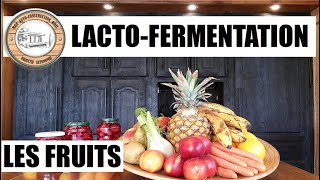 Fruits Lacto Fermentés 2 recettes et bienfaits digestion immunité sans cuisson et crus [upl. by Booze]