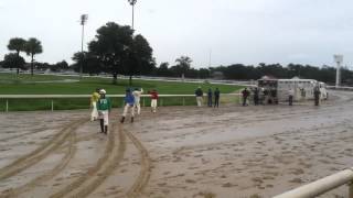 2012 New Orleans Ostrich Race [upl. by Remmus]