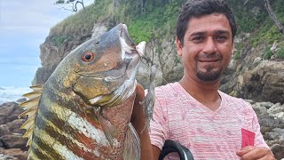 👉🇨🇷COMO SACAR Pargos desde las ROCAS🇨🇷 Pesca de ORILLA [upl. by Jacenta]