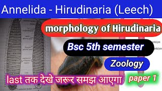 Hirudinaria bsc 5th semester zoologymorphology of Hirudinariahirudinariamorphologyofhirudinaria [upl. by Laurianne]