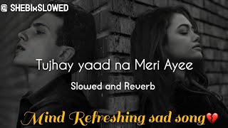 Tujhay Yaad Na Meri Ayee  Slowed and Reverb  Kuch Kuch HOTA hai  Heart Break song  90s [upl. by Adnovay]