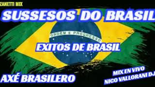 Sussesos Do Brasil Exitos de Brasil Axé Brasilero Mix En Vivo Nicolas Vallorani dj Zanetti Mix [upl. by Bhatt]