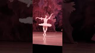 Best ballet moves ever Such a delicate and graceful performance balletcore balletlove ballet [upl. by Virgin]