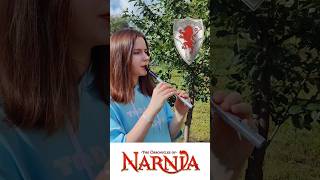 To Aslans Camp from The Chronicles of Narnia  Tin whistle cover [upl. by Tap]